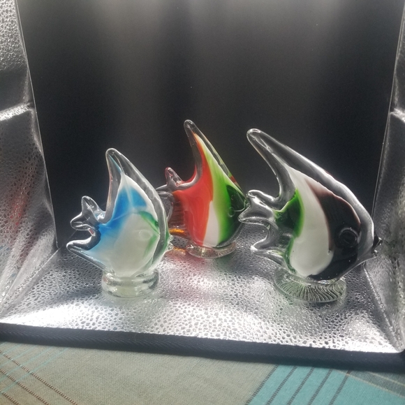 Glass fish - Picture 2 of 16